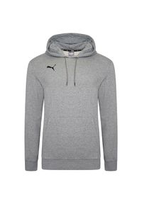 Bluza treningowa męska Puma teamGOAL 23 Causals Hoody. Kolor: szary, wielokolorowy, czarny