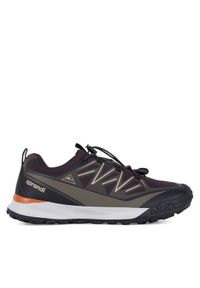 Sprandi Trekkingi M-S24W026A-8 Brązowy. Kolor: brązowy. Materiał: materiał. Sport: turystyka piesza
