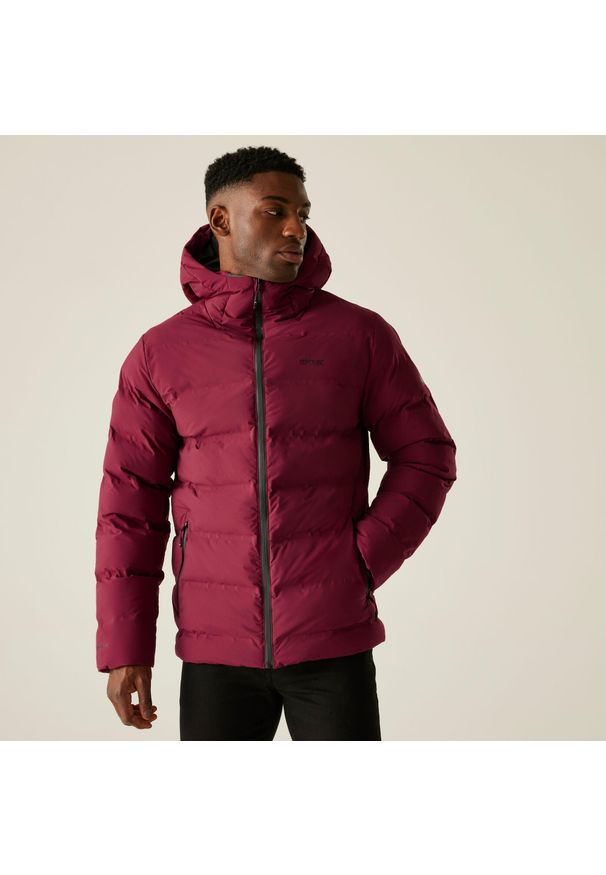 Regatta - Kurtka męska zimowa Altoro Thermal wodoodporna. Kolor: czerwony, brązowy, wielokolorowy. Materiał: puch, materiał. Sezon: zima. Sport: turystyka piesza