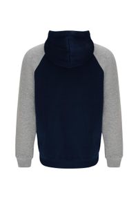 ROLY - Dwukolorowa Bluza Z Kapturem Badet Dla Dorosłych Unisex. Typ kołnierza: kaptur. Kolor: szary, niebieski, wielokolorowy