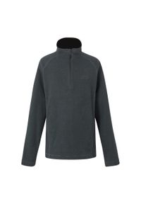 Regatta - Męski Polar Z Suwakiem Montes. Kolor: szary, czarny, brązowy, wielokolorowy. Materiał: polar. Sezon: zima. Styl: sportowy #1