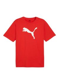 Puma - Jersey Męska Logo Z Bawełny Team Rise. Kolor: czerwony. Materiał: jersey, bawełna. Sport: turystyka piesza