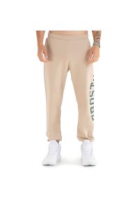 Spodnie Prosto Klasyk Sweatpants Flangor KL241MPAN4031 - beżowe. Kolor: beżowy. Materiał: dresówka, materiał, poliester, bawełna