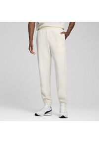 Puma - Męskie spodnie Essentials Elevated PUMA No Dye Color Mix. Sport: fitness