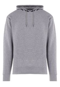 Born2be - Szara Bluza Notanthus. Okazja: na co dzień. Typ kołnierza: kaptur. Kolor: szary. Materiał: polar, dzianina. Wzór: jednolity. Styl: casual #7