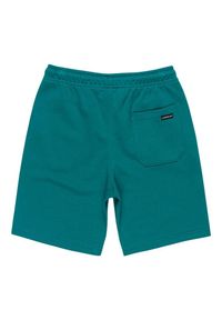 Quiksilver - Spodenki z elastyczną talią EASY DAY. Kolor: zielony. Materiał: materiał, poliester, bawełna. Długość: krótkie. Sezon: lato