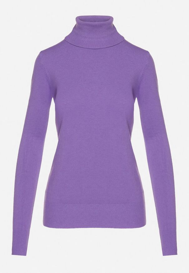 Born2be - Fioletowy Golf Sweter z Wiskozą i Kaszmirem Zailaya. Okazja: na co dzień. Typ kołnierza: golf. Kolor: fioletowy. Materiał: wiskoza, kaszmir. Styl: casual