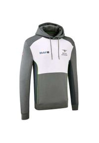 Bluza z kapturem Bentley Motorsport Team Hoodie, Mężczyźni. Typ kołnierza: kaptur. Kolor: szary. Materiał: wiskoza, materiał
