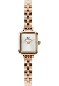 Zegarek damski Daniel Wellington DW00100847 różowe złoto. Kolor: różowy, złoty, wielokolorowy #1