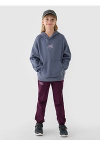 4f - 4F Spodnie dresowe joggery dziewczęce - fioletowe 122 (6-7 lat). Okazja: na co dzień. Kolor: fioletowy. Materiał: dresówka. Wzór: gładki, napisy, ze splotem. Sezon: lato. Styl: sportowy, casual, młodzieżowy #1