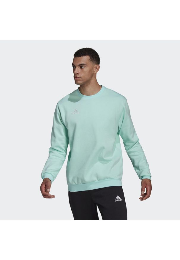 Adidas - Bluza adidas Entrada 22. Kolor: zielony. Sport: fitness, piłka nożna