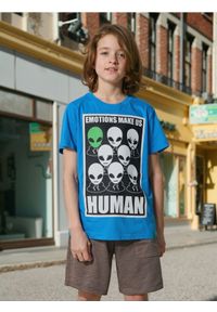 Sinsay - Prążkowane dresowe szorty z bawełny - brązowy. Kolor: brązowy. Materiał: dresówka, bawełna, prążkowany
