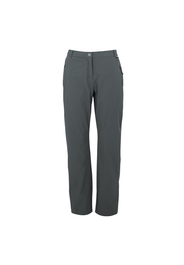 Regatta - Spodnie Na Piesze Wędrówki Damskie Łatwe Pakowanie Travel Light II. Kolor: szary. Sezon: lato. Sport: turystyka piesza