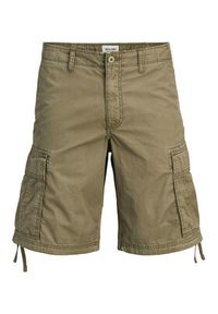 Jack & Jones Szorty materiałowe Cole Frank 12291369 Zielony Regular Fit. Kolor: zielony. Materiał: bawełna #8