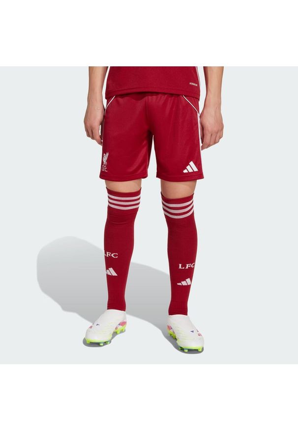Adidas - Szorty Liverpool FC 25/26 Home Kids. Kolor: czerwony. Sezon: lato. Sport: piłka nożna