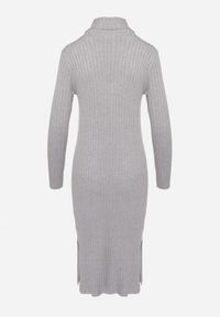 Born2be - Szara Dopasowana Sweterkowa Sukienka z Golfem i Wiskozą Ninnaliria. Okazja: na co dzień. Typ kołnierza: golf. Kolor: szary. Materiał: wiskoza. Długość rękawa: długi rękaw. Styl: casual, elegancki #3