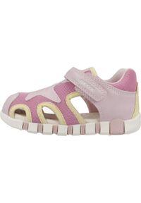 Geox - Sandały GEOX B SANDAL IUPIDOO GIR Rose. Kolor: różowy. Materiał: syntetyk, tkanina. Sport: turystyka piesza
