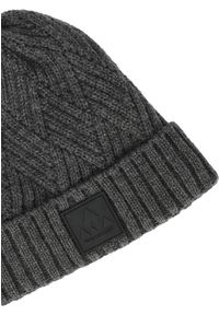 Czapka Whistler Fjord. Kolor: szary. Sezon: zima. Styl: sportowy, elegancki #2