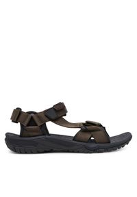 Jack Wolfskin Sandały Lakewood Ride Sandal M 4019021 Brązowy. Kolor: brązowy. Materiał: materiał #1