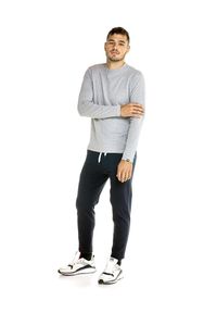 LEONE 1947 APPAREL - Męska koszulka Leone z długim rękawem Urban. Kolor: szary. Materiał: tkanina. Długość rękawa: długi rękaw. Długość: długie. Sport: fitness