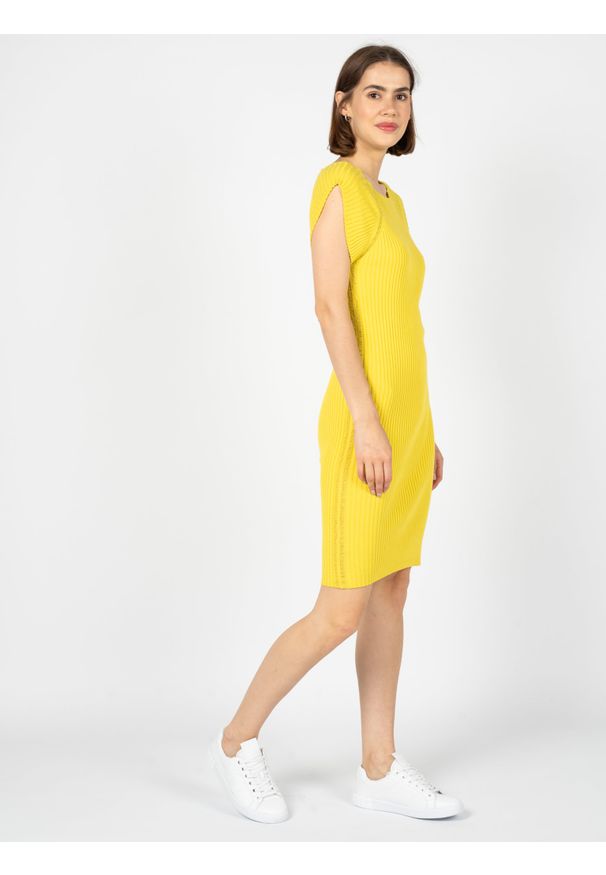 Silvian Heach Sukienka | GPP23163VE | Kobieta | Żółty. Kolor: żółty. Materiał: nylon, wiskoza, bawełna. Długość rękawa: bez rękawów. Wzór: aplikacja. Typ sukienki: dopasowane. Długość: midi