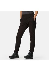 Regatta - Winter Pentre Damskie spodnie turystyczne ze stretchem. Kolor: czarny. Materiał: materiał. Sezon: lato. Sport: turystyka piesza #1