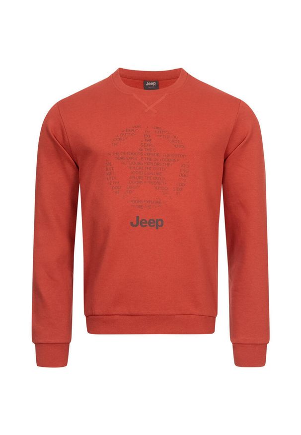 Męska bawełniana bluza Jeep® z okrągłym dekoltem. Kolor: wielokolorowy. Materiał: poliester, bawełna