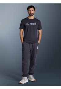 4f - 4F Spodnie dresowe joggery męskie - szare S. Kolor: szary. Materiał: dresówka #1