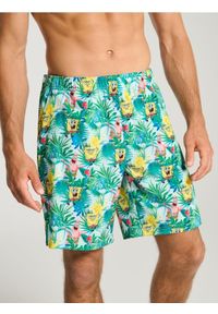 Sinsay - Szorty SpongeBob - wielobarwny