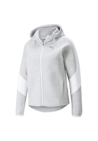 Bluza dresowa damska Puma EVOSTRIPE. Kolor: szary. Materiał: dresówka. Sezon: zima