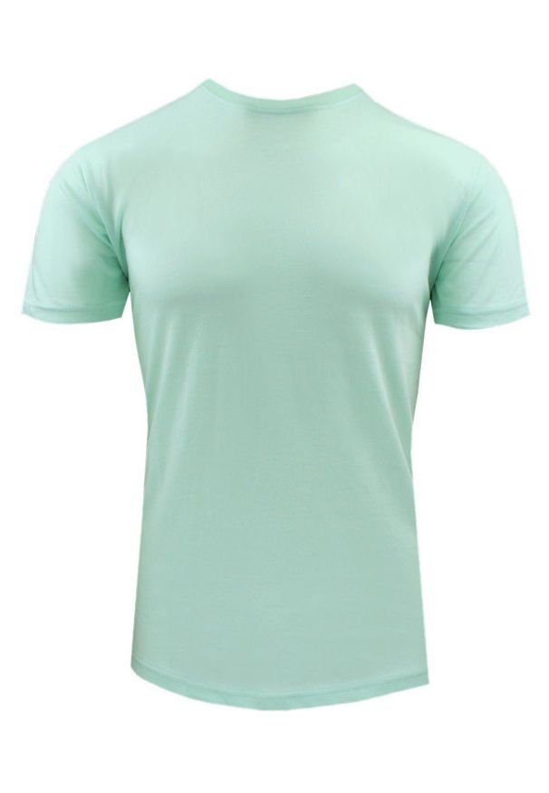 Męski T-Shirt Jednokolorowy - Brave Soul - Kolor Miętowy. Okazja: na co dzień. Kolor: miętowy. Materiał: bawełna. Sezon: wiosna, lato. Styl: casual