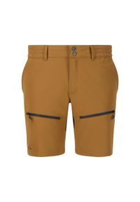 Szorty Whistler Avatar. Kolor: szary, wielokolorowy, brązowy. Sport: turystyka piesza #1
