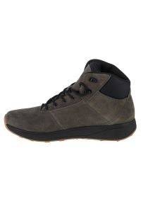 4f - Buty 4F Element Boots M 4FAW22FWINM013-23S szare. Zapięcie: sznurówki. Kolor: szary. Materiał: zamsz, skóra, syntetyk, guma #4