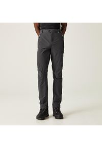 Regatta - Męskie spodnie turystyczne Highton szare. Kolor: szary. Materiał: elastan, poliamid #1