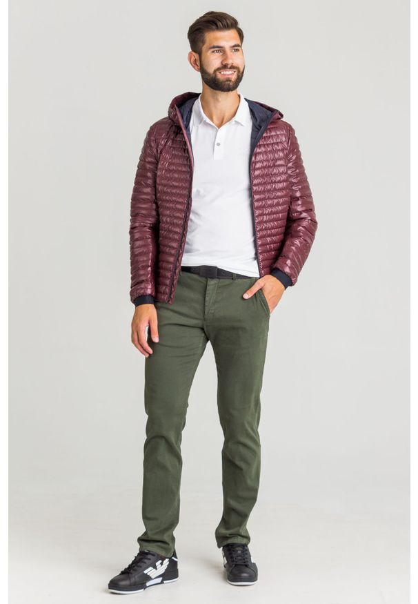 Koszulka polo EA7 Emporio Armani z nadrukiem, polo