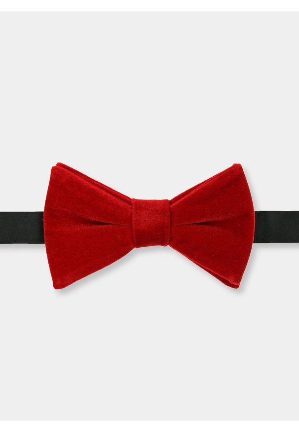 Pako Lorente - PAKO LORENTE – Mucha PPLM9-MX-166-W. Styl: elegancki