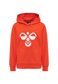 Bluza z kapturem dla dzieci Hummel Cuatro. Typ kołnierza: kaptur. Kolor: czerwony. Sport: joga i pilates #1