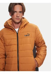 Puma Kurtka zimowa Essentials 848938 Beżowy Regular Fit. Kolor: beżowy. Materiał: syntetyk. Sezon: zima
