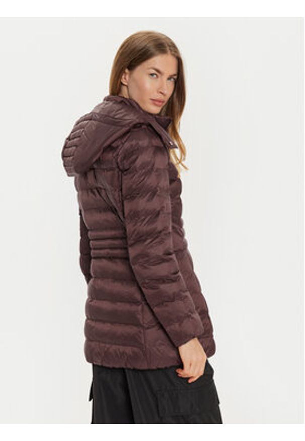 EA7 Emporio Armani Kurtka zimowa 6DTK01 TN88Z 1755 Brązowy Regular Fit. Kolor: brązowy. Materiał: syntetyk. Sezon: zima
