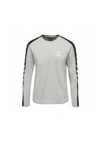 Koszulka z długim rękawem Hummel HML Flint T-Shirt. Kolor: szary. Długość rękawa: długi rękaw. Długość: długie