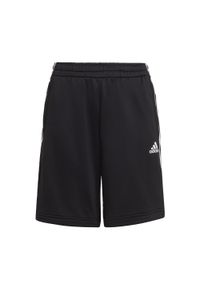 Adidas - Spodenki dziecięce adidas Aeroready Primegreen. Kolor: czarny, biały, wielokolorowy. Sport: bieganie