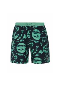 Szorty kąpielowe Protest Prtadmer. Kolor: zielony, brązowy, wielokolorowy #1