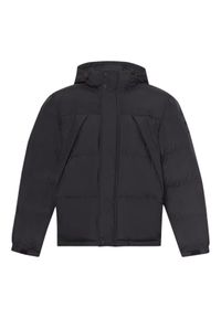 Manteaux et vestes Homme Doudoune Timberland Durable Water Repellent Noir. Kolor: czarny. Materiał: puch #1