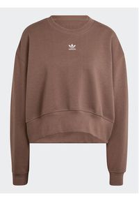 Adidas - adidas Bluza adicolor Essentials IR5971 Brązowy Oversize. Kolor: brązowy. Materiał: bawełna #2