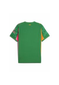 Puma - Męska koszulka bramkarska AC Milan 25/26 PUMA Archive Green Intense Orange. Kolor: zielony. Materiał: tkanina
