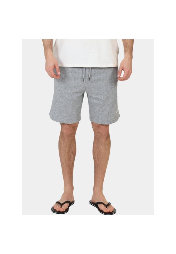 Spodenki jogger męskie O'Neill Small Logo. Kolor: szary