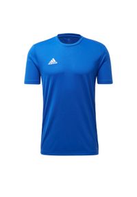 Adidas - T-shirt Core 18 Training 451. Kolor: biały, niebieski, wielokolorowy. Sport: piłka nożna