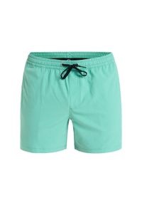 Quiksilver - Szorty kąpielowe dla Mężczyzn EVERYDAY FLEX VOLLEY 15". Kolor: zielony. Materiał: elastan, poliester, materiał. Styl: sportowy