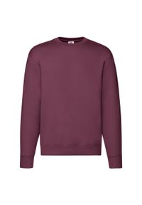 FRUIT OF THE LOOM - Męska Bluza Rozpinana Premium. Kolor: czerwony, wielokolorowy, brązowy