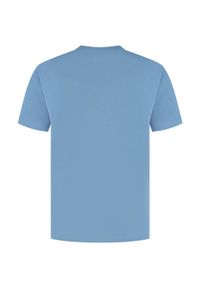 Koszulka męska Champion SS Tee. Kolor: niebieski